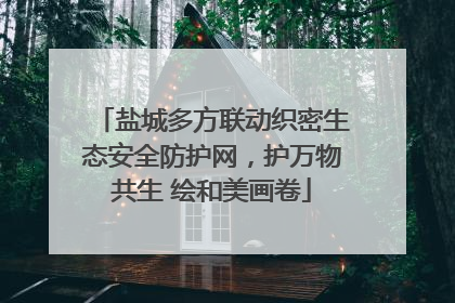 盐城多方联动织密生态安全防护网，护万物共生 绘和美画卷