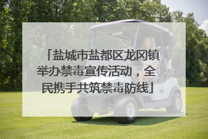 盐城市盐都区龙冈镇举办禁毒宣传活动，全民携手共筑禁毒防线
