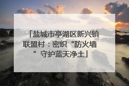 盐城市亭湖区新兴镇联盟村：密织“防火墙”守护蓝天净土