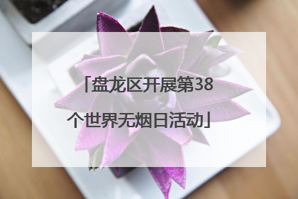盘龙区开展第38个世界无烟日活动