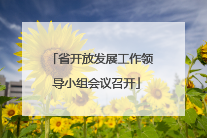 省开放发展工作领导小组会议召开