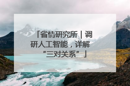 省情研究所｜调研人工智能，详解“三对关系”