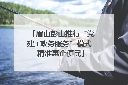 眉山彭山推行“党建+政务服务”模式 精准惠企便民
