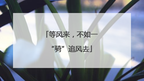等风来，不如一“骑”追风去
