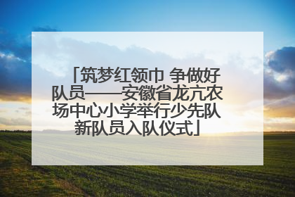 筑梦红领巾 争做好队员——安徽省龙亢农场中心小学举行少先队新队员入队仪式