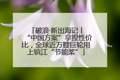 破浪·新出海记丨 “中国方案”拿捏性价比，全球近万艘巨轮用上镇江“节能桨”