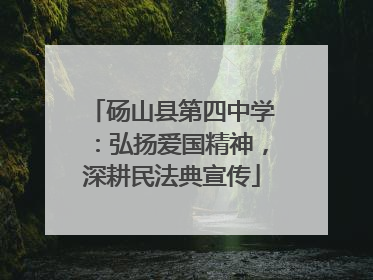 砀山县第四中学：弘扬爱国精神，深耕民法典宣传