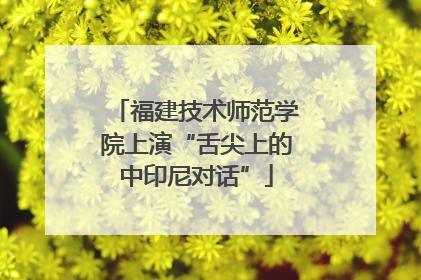 福建技术师范学院上演“舌尖上的中印尼对话”