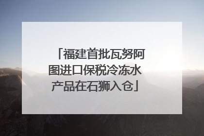 福建首批瓦努阿图进口保税冷冻水产品在石狮入仓