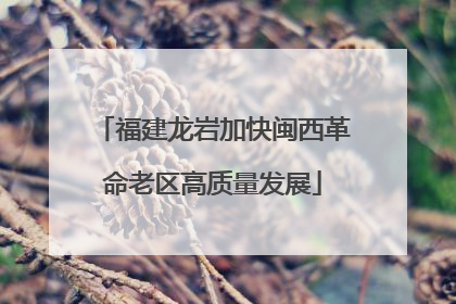 福建龙岩加快闽西革命老区高质量发展