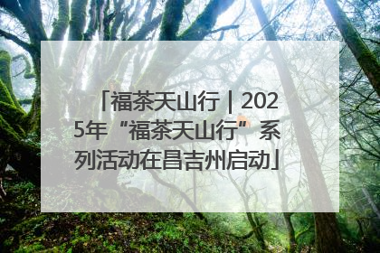 福茶天山行｜2025年“福茶天山行”系列活动在昌吉州启动