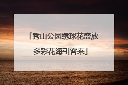 秀山公园绣球花盛放 多彩花海引客来