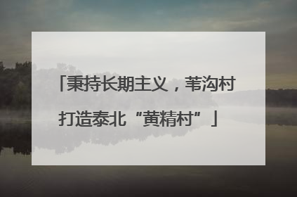 秉持长期主义，苇沟村打造泰北“黄精村”
