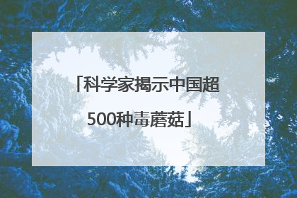 科学家揭示中国超500种毒蘑菇
