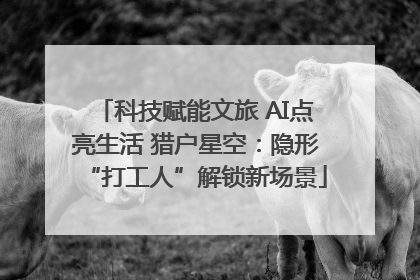 科技赋能文旅 AI点亮生活 猎户星空：隐形“打工人”解锁新场景