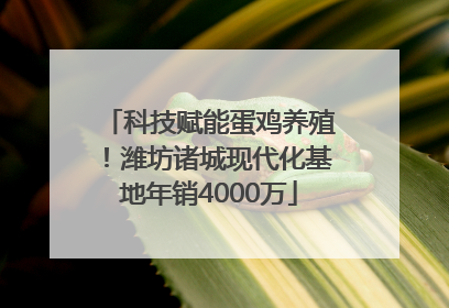 科技赋能蛋鸡养殖！潍坊诸城现代化基地年销4000万