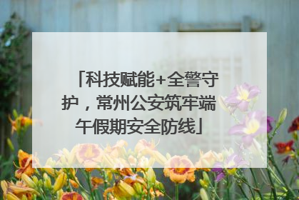 科技赋能+全警守护，常州公安筑牢端午假期安全防线