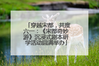 穿越宋都，共度六一：《宋都奇妙游》沉浸式剧本研学活动圆满举办