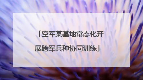 空军某基地常态化开展跨军兵种协同训练