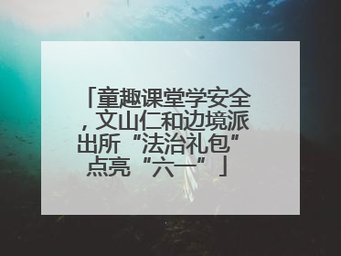 童趣课堂学安全，文山仁和边境派出所“法治礼包”点亮“六一”