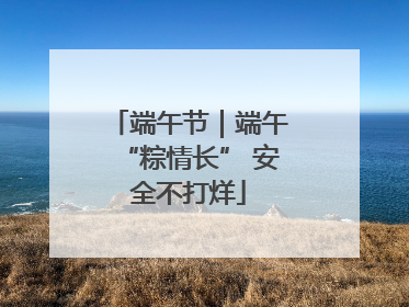 端午节｜端午“粽情长” 安全不打烊