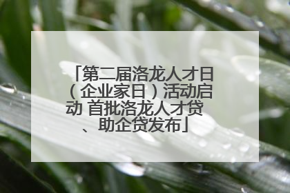 第二届洛龙人才日（企业家日）活动启动 首批洛龙人才贷、助企贷发布