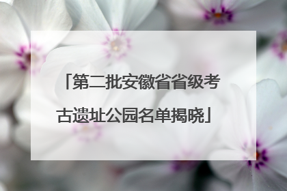 第二批安徽省省级考古遗址公园名单揭晓