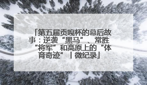 第五届贡嘎杯的幕后故事：逆袭“黑马”、常胜“将军”和高原上的“体育奇迹”丨微纪录