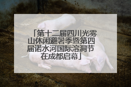 第十二届四川光雾山休闲避暑季暨第四届诺水河国际溶洞节在成都启幕