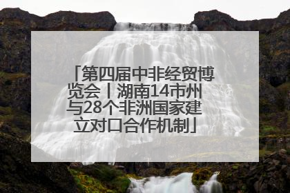 第四届中非经贸博览会丨湖南14市州与28个非洲国家建立对口合作机制
