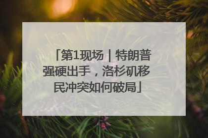 第1现场｜特朗普强硬出手，洛杉矶移民冲突如何破局