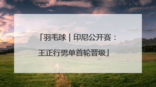 羽毛球｜印尼公开赛：王正行男单首轮晋级