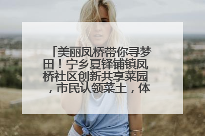 美丽凤桥带你寻梦田！宁乡夏铎铺镇凤桥社区创新共享菜园，市民认领菜土，体验耕种收获乐趣