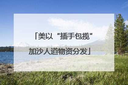 美以“插手包揽”加沙人道物资分发