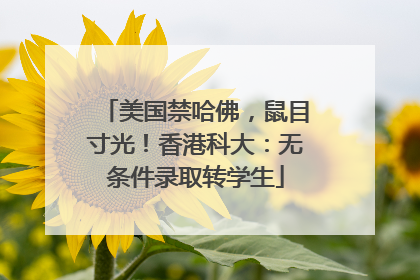 美国禁哈佛，鼠目寸光！香港科大：无条件录取转学生