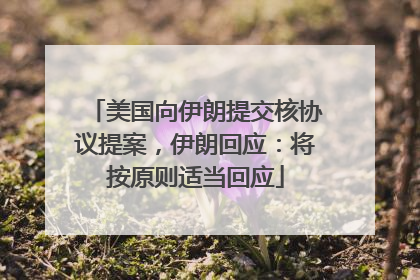 美国向伊朗提交核协议提案，伊朗回应：将按原则适当回应