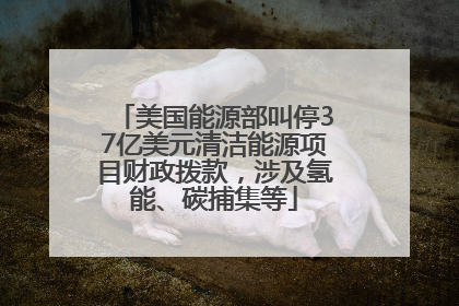美国能源部叫停37亿美元清洁能源项目财政拨款，涉及氢能、碳捕集等