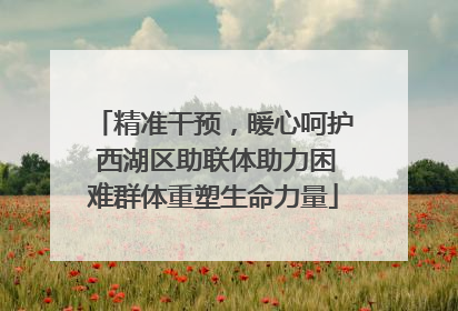 精准干预，暖心呵护 西湖区助联体助力困难群体重塑生命力量