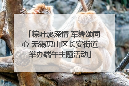 粽叶裹深情 军舞颂同心 无锡惠山区长安街道举办端午主题活动