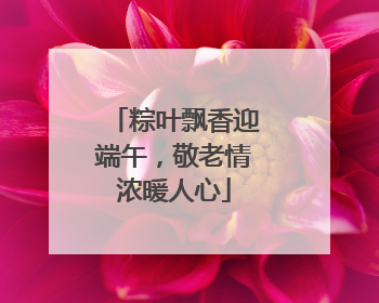 粽叶飘香迎端午，敬老情浓暖人心