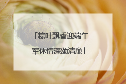 粽叶飘香迎端午 军休情深颂清廉