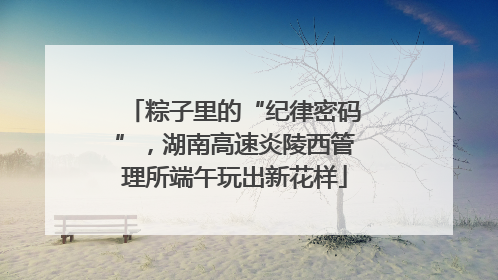 粽子里的“纪律密码”，湖南高速炎陵西管理所端午玩出新花样