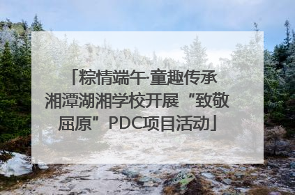 粽情端午·童趣传承 湘潭湖湘学校开展“致敬屈原”PDC项目活动