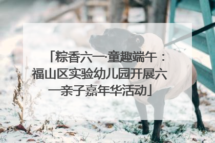 粽香六一·童趣端午：福山区实验幼儿园开展六一亲子嘉年华活动