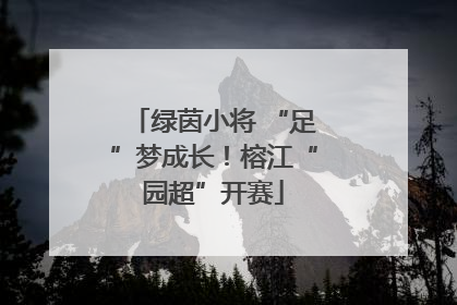 绿茵小将 “足”梦成长！榕江“园超”开赛