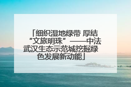 细织湿地绿带 厚结“文旅明珠”——中法武汉生态示范城挖掘绿色发展新动能