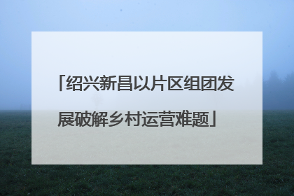 绍兴新昌以片区组团发展破解乡村运营难题