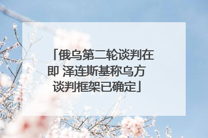 俄乌第二轮谈判在即 泽连斯基称乌方谈判框架已确定