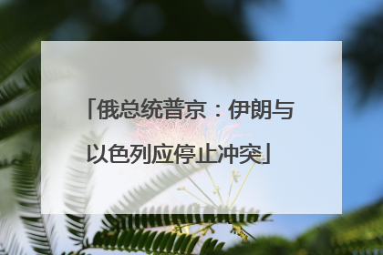 俄总统普京：伊朗与以色列应停止冲突