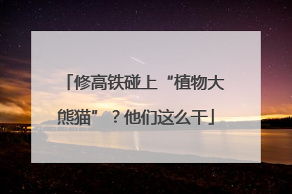 修高铁碰上“植物大熊猫”？他们这么干
